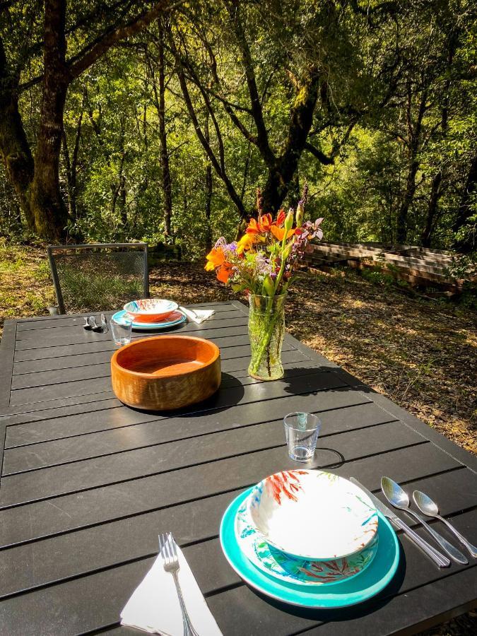 Glamping In The Redwoods With A Hot Tub! Hotel Garberville Ngoại thất bức ảnh