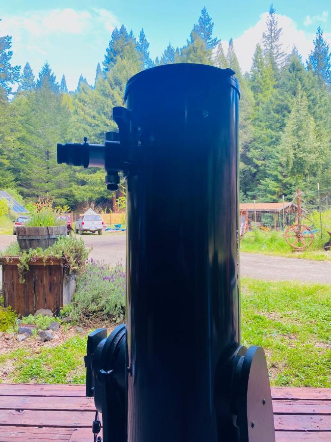 Glamping In The Redwoods With A Hot Tub! Hotel Garberville Ngoại thất bức ảnh